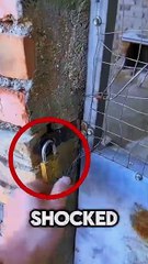 This man fooled thieves with fake brick wall .