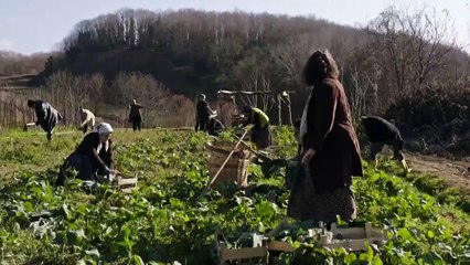 مسلسل الانكسار الحلقة 12 الثانية عشر مدبلج HD