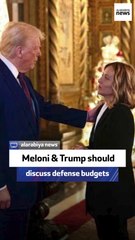 Republicans Overseas Chair: Meloni & Trump should discuss defense budgets