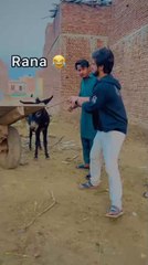 آنا رانیا تنگ کیتا فنی کلپ