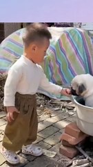 The pet dog was put into the pot by his little master to stew and eat, with a helpless expression