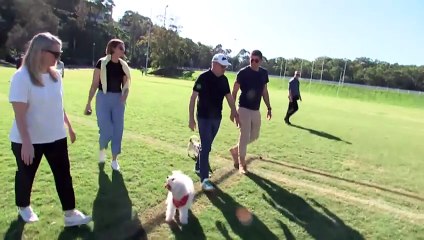 Anthony Albanese in Sydney where he’ll step up Labor’s campaign on penalty rates