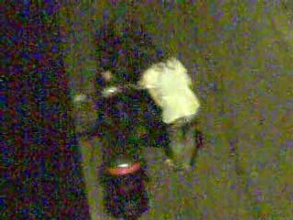 Lulu se plante avec mon scooter