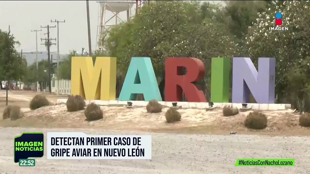 Detectan el primer caso de gripe aviar en una granja comercial de Nuevo León