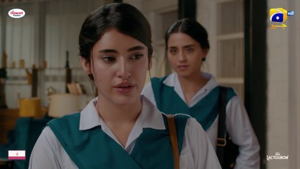 Mann Mast Malang Drama Epi 25