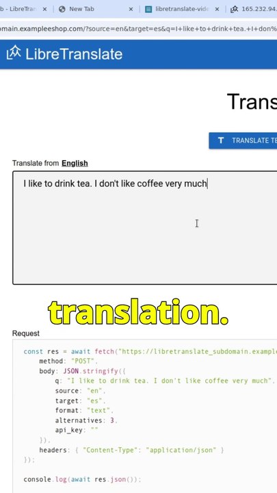 An Example Translation with LibreTranslate
