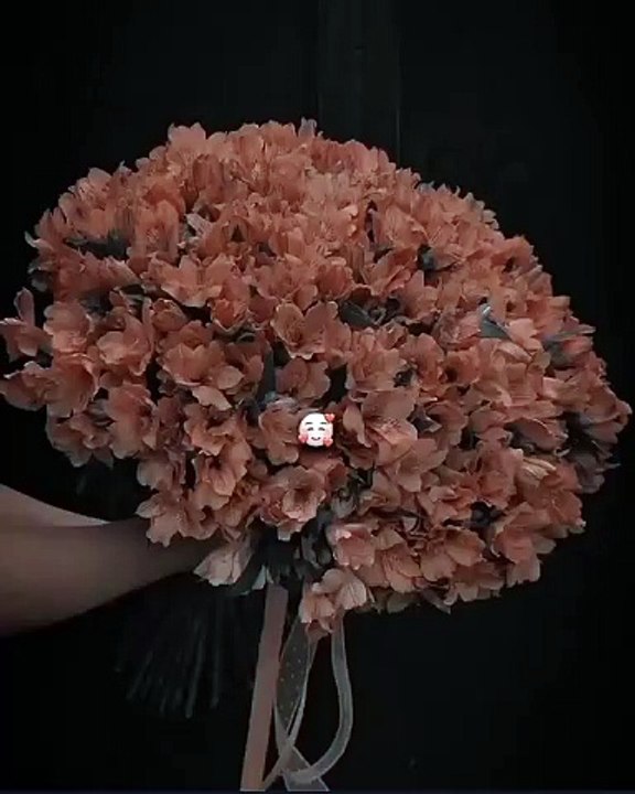 VID-20250418-WA0086