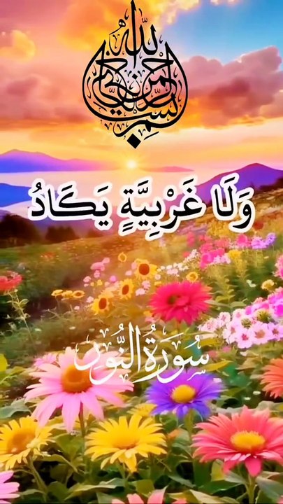 Amin