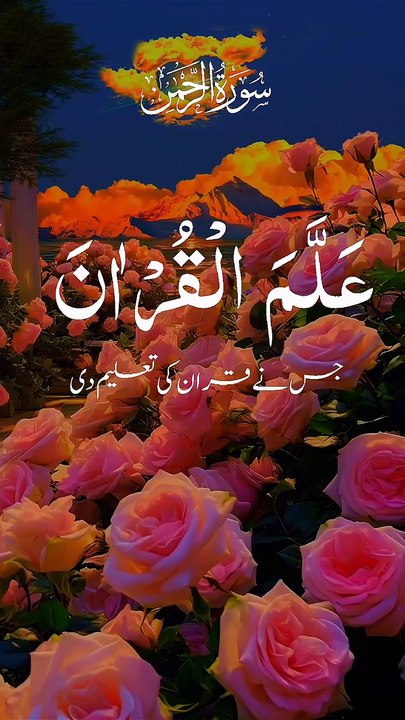 Amin