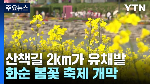 샛노란 유채꽃 가득...화순 봄꽃 축제 개막 / YTN