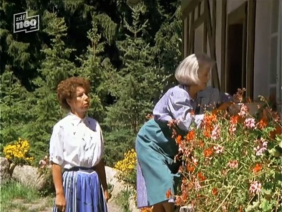 Die Schwarzwaldklinik S03E22 - Nierenspende