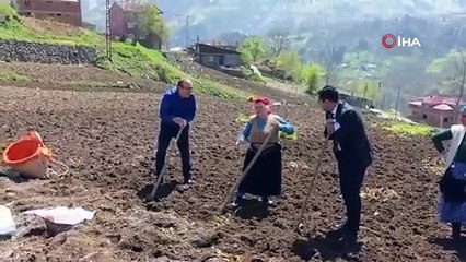 Kaymakam ve belediye başkanı tarlaya girdi, izleyenleri tebessüm ettiren anlar ortaya çıktı