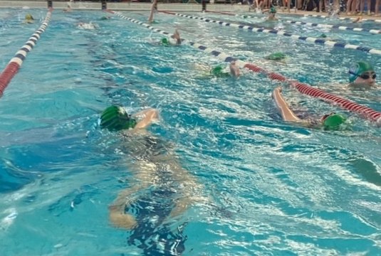 Tenby Dolphins at the Amman Valley Open Meet