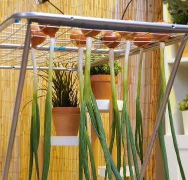 Des conseils de jardinage simples qui transformeront votre jardin !