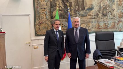 Tajani incontra direttore Aiea Grossi