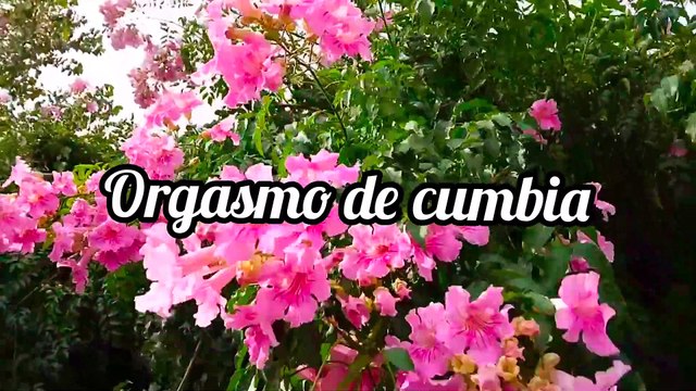 Novia Cumbianchera Orgasmo de cumbia canta Giselle Romina Castillo Vargas