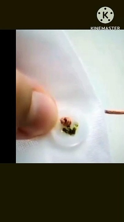 Stitch skill