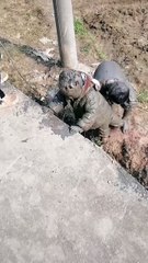 This is what childhood should be like😂😂