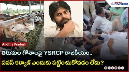 తిరుమల గోశాలపై YSRCP రాజకీయం.. పవన్ కళ్యాణ్ ఎందుకు పట్టించుకోవడం లేదు? | Asianet News Telugu