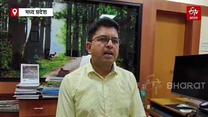मंडला में जारी है बाघों की मौत का सिलसिला, कान्हा टाइगर रिजर्व में मिला शावक का शव
