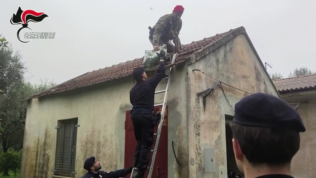 Scoperta raffineria di cocaina in un casolare isolato: sequestrati oltre 100 chili di droga (19.04.25)