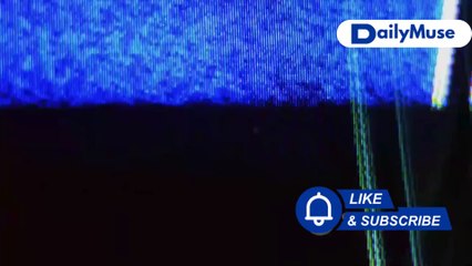 The Forgotten Asylum: Shadows of Black Hollow | DailyMuse