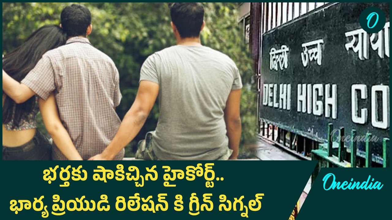 Delhi High Court - వివాహేతర సంబంధం తప్పు కాదు.. రిలేషన్ పై తీర్పు | Oneindia Telugu