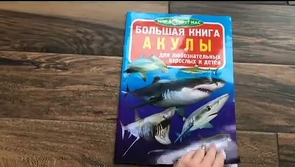 Гортаємо книгу "Большая книга Акулы"