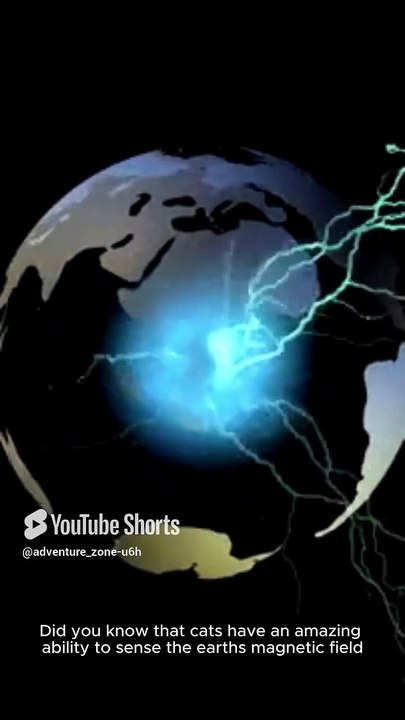 Facts about cat 🐈 #adventurezone #facts #viralshots #animals #wildlife #nature #cat
