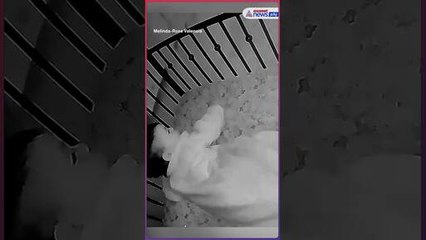 தெற்கு கலிபோர்னியாவில் நிலநடுக்கத்தால் தூக்கத்தில் இருந்த குழந்தை அதிர்ச்சியாகி எழுந்த காட்சி!!