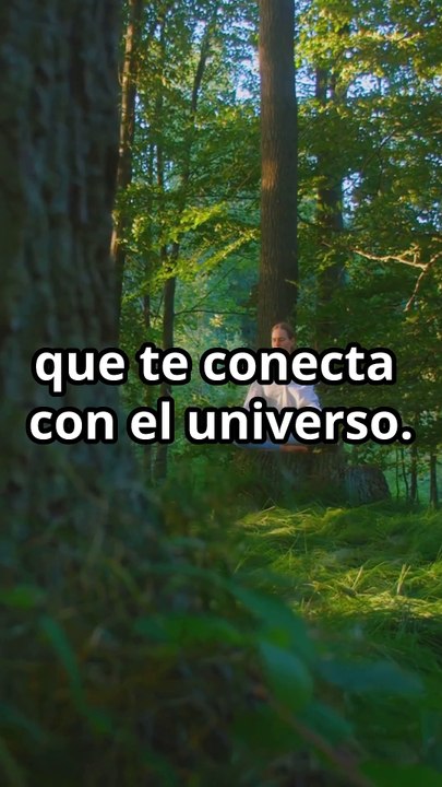 "EL SISTEMA DEL ALMA: La Fórmula Secreta para Alinear Cuerpo y Mente y Despertar tu Poder Divino"