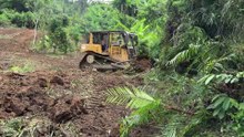 D6R XL Bulldozer Technique Efficiently Clears Sloping Land