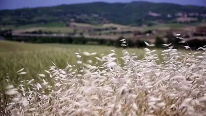 The Boleyns A Scandalous Family Episode 2 Desire