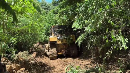 D6R XL Bulldozer Best Choice for the Perfect Plantation Road