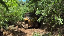 D6R XL Bulldozer Best Choice for the Perfect Plantation Road
