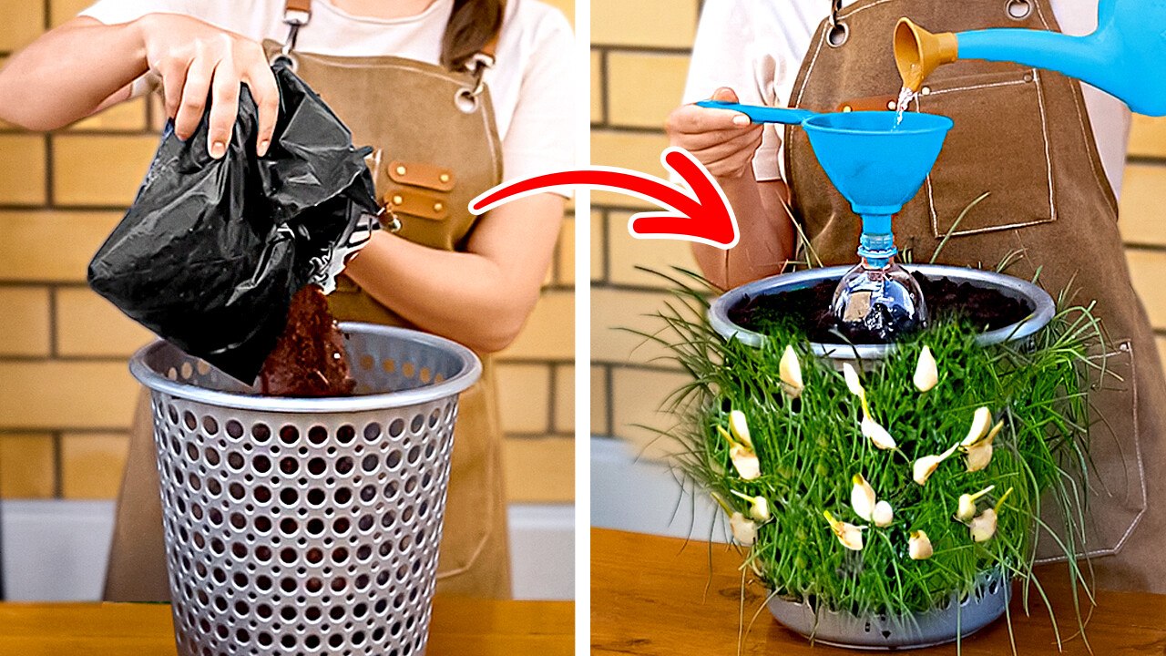 101 DIY GARDENING TRICKS 🌱 GROW YOUR PLANTS & UPGRADE YOUR BACKYARD 🏡