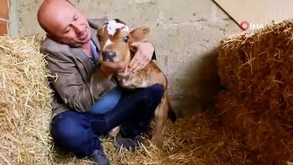 Görenler şaşıp kalıyor! Ön ayaksız doğdu,