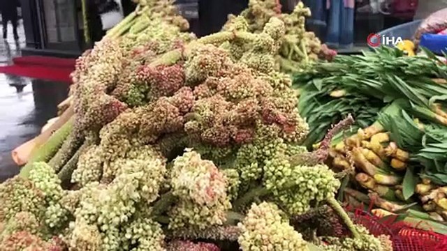 Doğada kendi kendine yetişen kanserin ve şekerin doğal çözümü pazarda 300 TL'den satışta