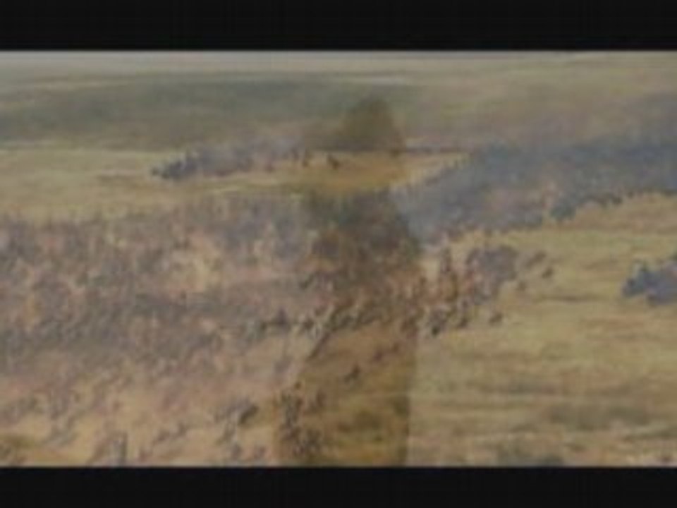 Innocent blue - Mink