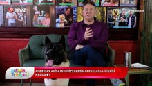 Patinin Hikayesi 19 Nisan 2025