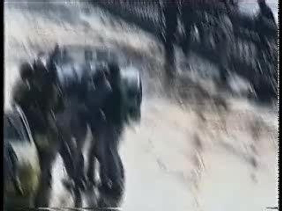 Regis dans les stands