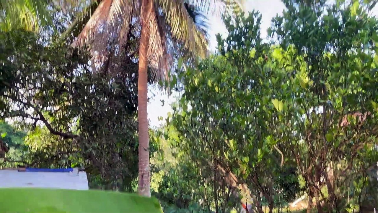 Traditional Taro Curry in a Filipino Village Kitchen 🍛🌱