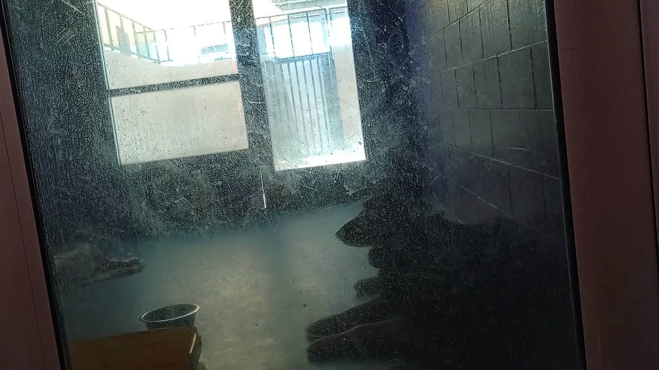 VID_20250418_120212814