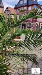 🗺️ Hidden Town in America You’ll Wish You Discovered Sooner