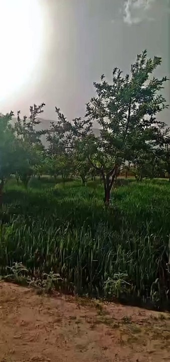 Beautiful Wheather