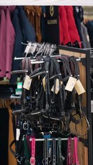 CSO Élevage de Las 13-04-25