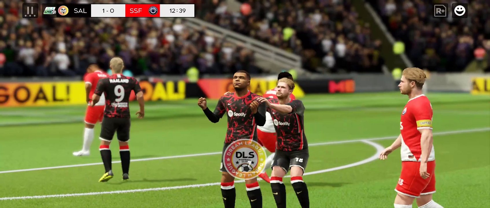 DLS 25