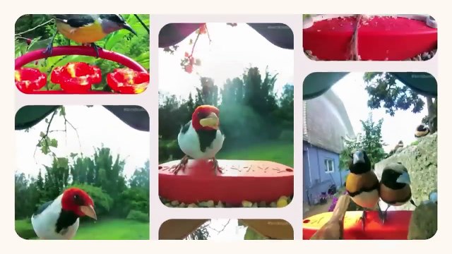 Mind-Blowing AI Gadgets You’ve NEVER Seen! 🤯🔥 | Smart Grill, Gym, Cat Collar & More! | AI Revolution