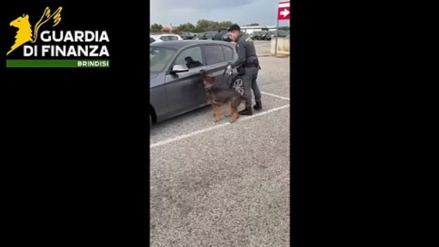GdiF BRINDISI: SEQUESTRATI OLTRE 10 CHILOGRAMMI DI HASHISH. ARRESTATA UNA PERSONA ED UN’ALTRA DENUNCIATA ALL’AUTORITA’ GIUDIZIARIA (19.04.25)