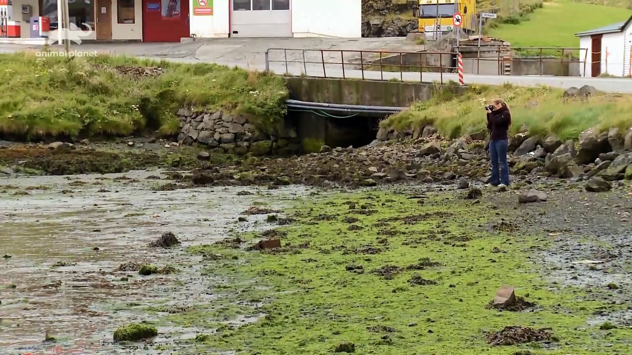 Whale Wars_E02_Vereinte Kräfte